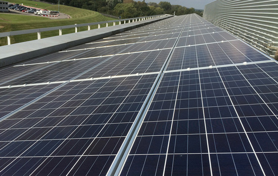 rows of solar panels